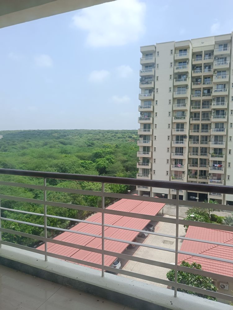 Ridge View IFC Society 