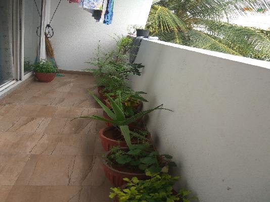 2 BHK Flat In May Flower Classic For Sale  In Jeevan Bima Nagar