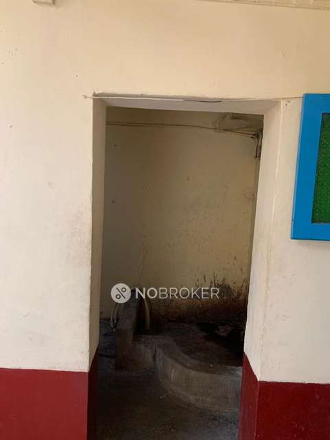 1 BHK Flat In Standalone Building  for Rent  In Ganga Nagar