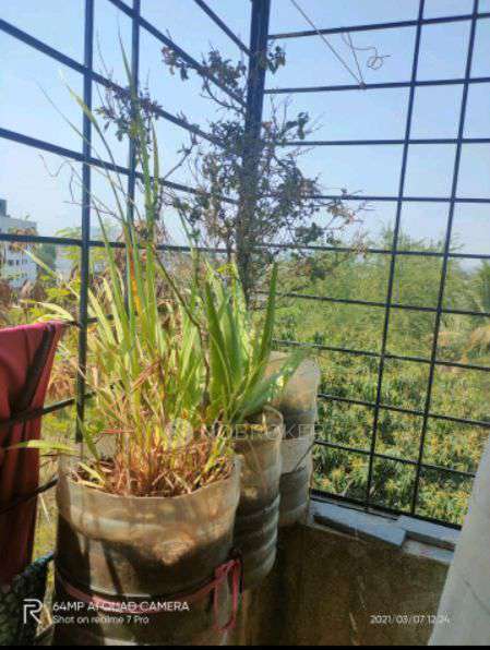 1 BHK Flat In Vighnaharta Residency Malwadi for Rent  In Dehu