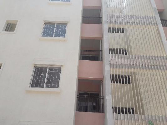 1 BHK Flat In Playtor Rajgurunagar Developers Pvt Ltd For Sale  In Kohinkarwadi