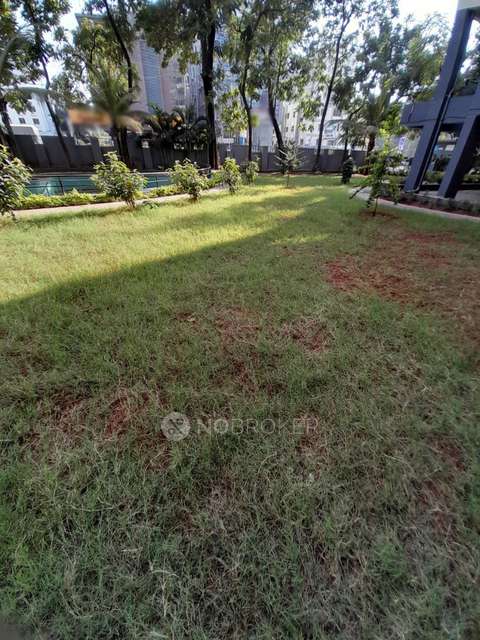 2 BHK Flat In The Construction Verve Apartments for Rent  In Pimpri-chinchwad,