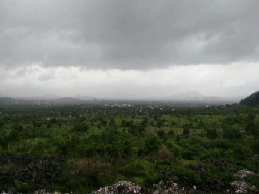 2 BHK Flat In Xrbia for Rent  In Hinjewadi