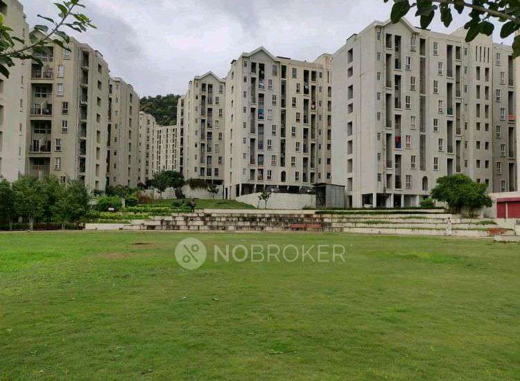 3 BHK Flat In Xrbia Hinjawadi for Rent  In Xrbia Hinjewadi