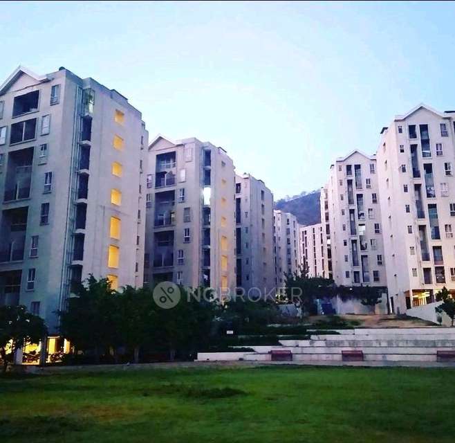 3 BHK Flat In Xrbia Hinjawadi for Rent  In Xrbia Hinjewadi