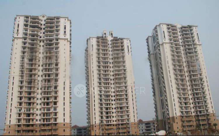 3 BHK Flat In Dlf New Town Heights -ii For Sale  In Sector 91