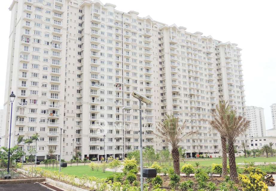 3 BHK Flat In Sethi Max Royal For Sale  In Sector-76