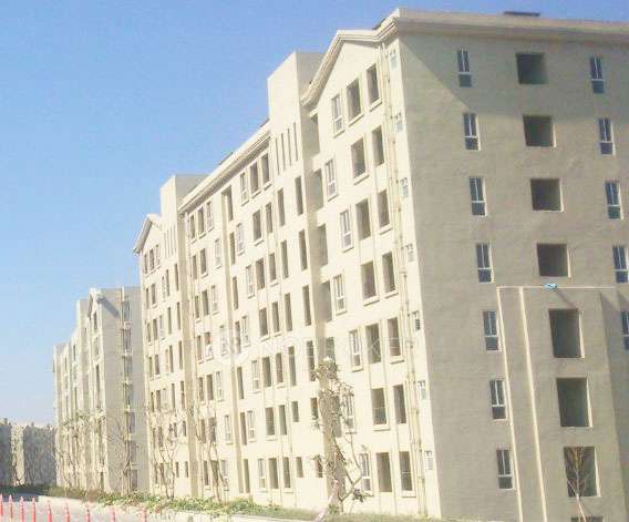 1 BHK Flat In Xrbia Apartments for Rent  In Hinjewadi