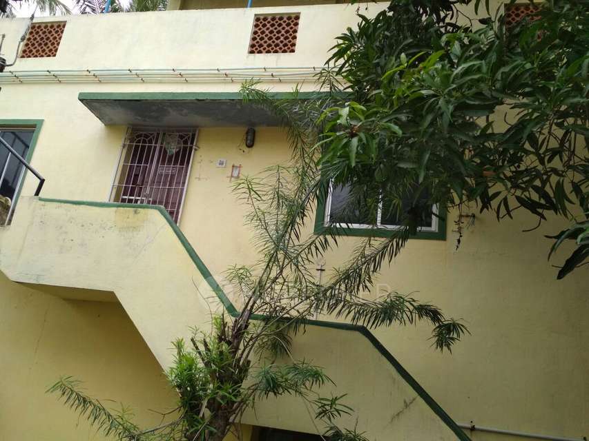 1 BHK for Rent  In Madipakkam