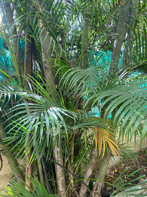 4+ BHK House for Rent  In Pimpri-chinchwad,