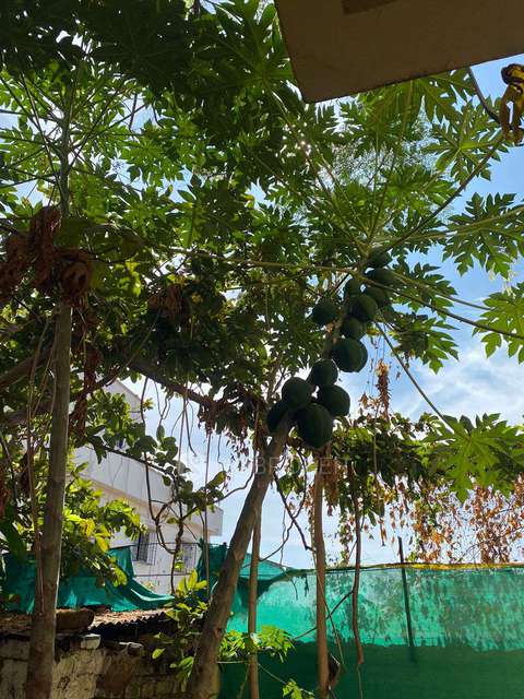 4+ BHK House for Rent  In Pimpri-chinchwad,