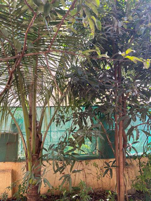 4+ BHK House for Rent  In Pimpri-chinchwad,