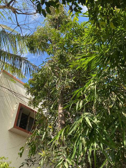 4+ BHK House for Rent  In Pimpri-chinchwad,