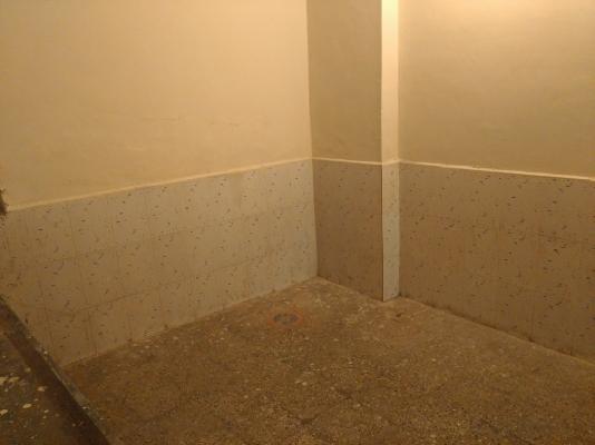 2 BHK Flat In Datt Apartment Manik Baug , Vadgaon Budruk for Rent  In Vadgaon Budruk