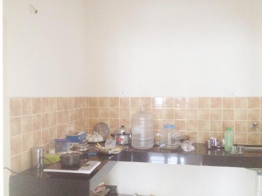 2 BHK Flat In Megapolis Splendour for Rent  In Hinjawadi