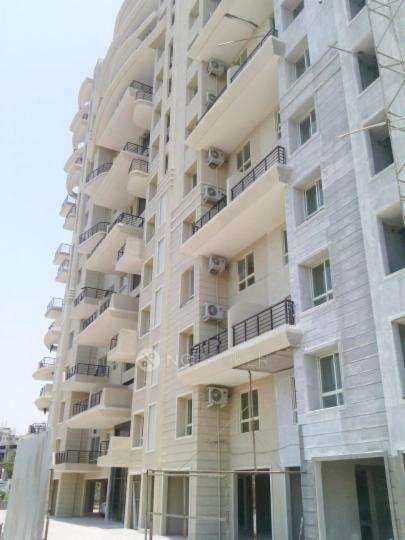 2 BHK Flat In Nyati Ethos Phase 2 for Rent  In Undri