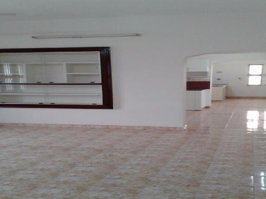 3 BHK Flat In 761 for Rent  In Kilpauk