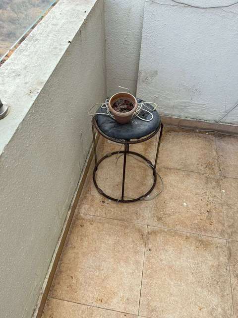 1 BHK Flat In Sukhwani Gracia for Rent  In Sus Gaon