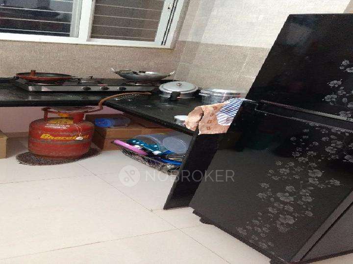 1 BHK Flat In Sukhwani Gracia for Rent  In Sus Gaon