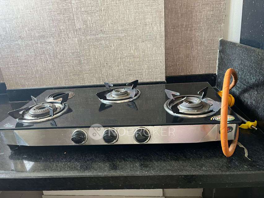 1 BHK Flat In Sukhwani Gracia for Rent  In Sus Gaon