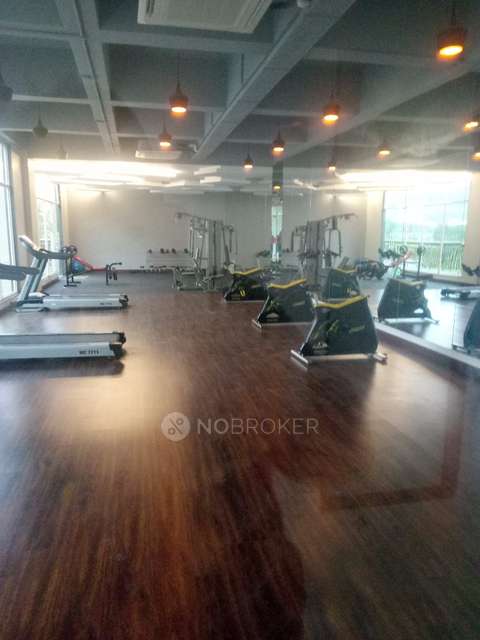 1 BHK Flat In Xrbia Hinjewadi Township for Rent  In Hinjawadi