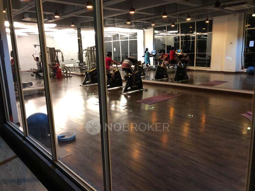 1 BHK Flat In Xrbia Hinjewadi Township for Rent  In Hinjawadi