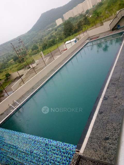 1 BHK Flat In Xrbia Hinjewadi Township for Rent  In Hinjawadi