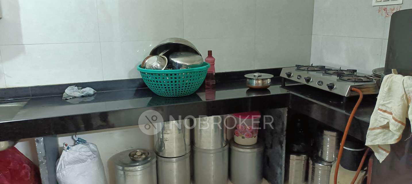 1 BHK Flat In Shine City For Sale  In Chikhali