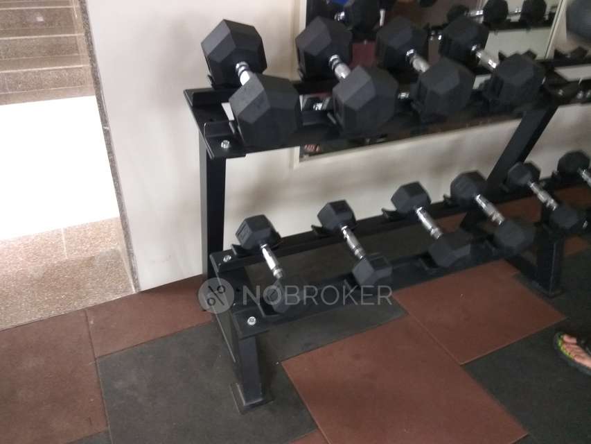 3 BHK Flat In Guardian Hill Shire for Rent  In Wagholi