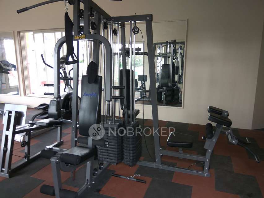 3 BHK Flat In Guardian Hill Shire for Rent  In Wagholi