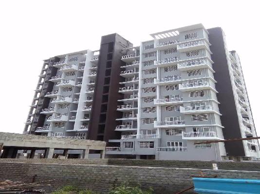 1 BHK Flat In Legacy Fortune Exotica for Rent  In Ravet