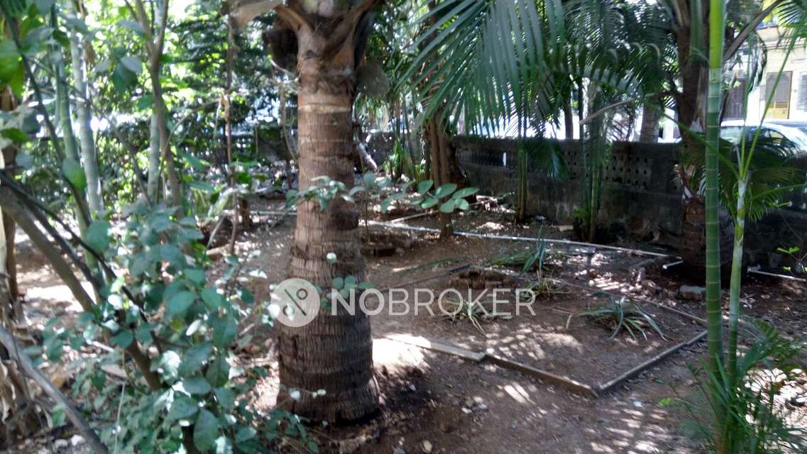 4+ BHK House For Sale  In Mulund East 