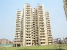 3 BHK Flat For Sale In Corona Optus In Sector-37 C