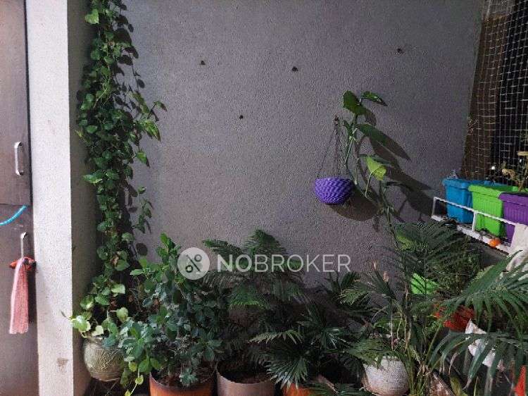 2 BHK Flat In Mango One for Rent  In Hadapsar