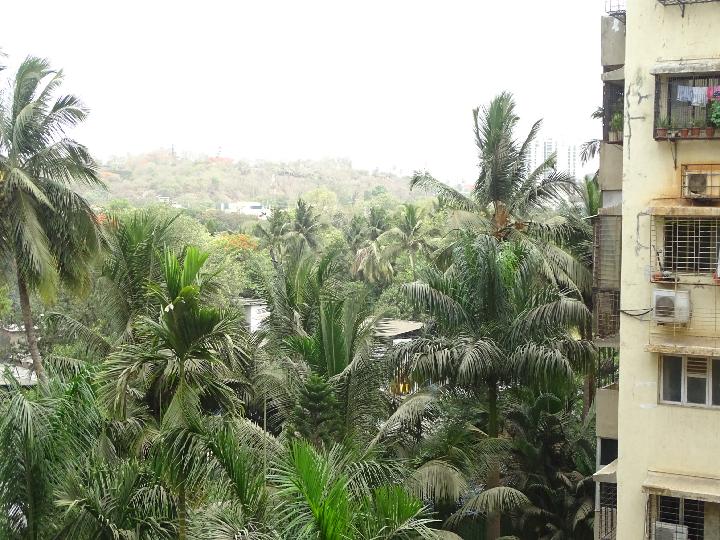 PANCHAVATI CHS Marol Rent WITHOUT BROKERAGE Unfurnished 1 BHK Rental