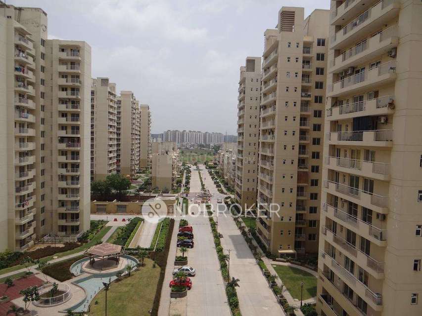 3 BHK Flat In Chs Avenue 71 for Rent  In Sector 71