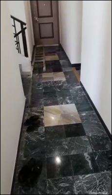 2 BHK Flat In Not Disclosed for Rent  In Wagholi