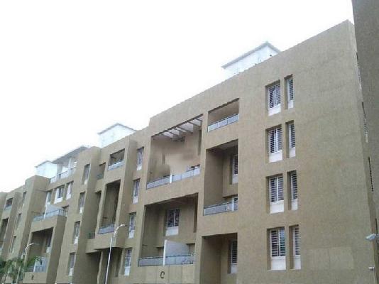 2 BHK Flat In Sai Avishkar for Rent  In Dhayari