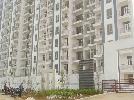 1 RK Flat For Sale In Tulip White Apartments In Sector 69