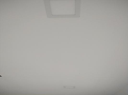 2 BHK Flat In Sarisha for Rent  In Tathawade