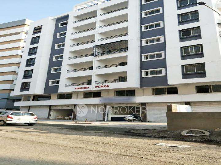 2 BHK Flat In Orchid Plaza Cooperative Society for Rent  In Narhe