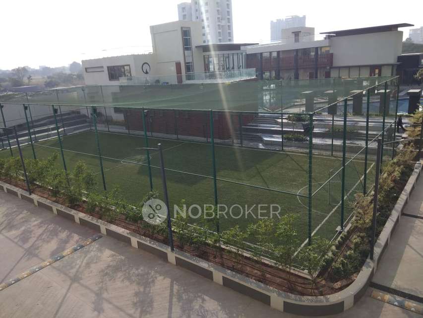 2 BHK Flat In 7 Plumeria Drive for Rent  In Punawale, Pimpri-chinchwad