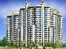3 BHK Flat For Sale In Sidhartha Estella In Sector-103