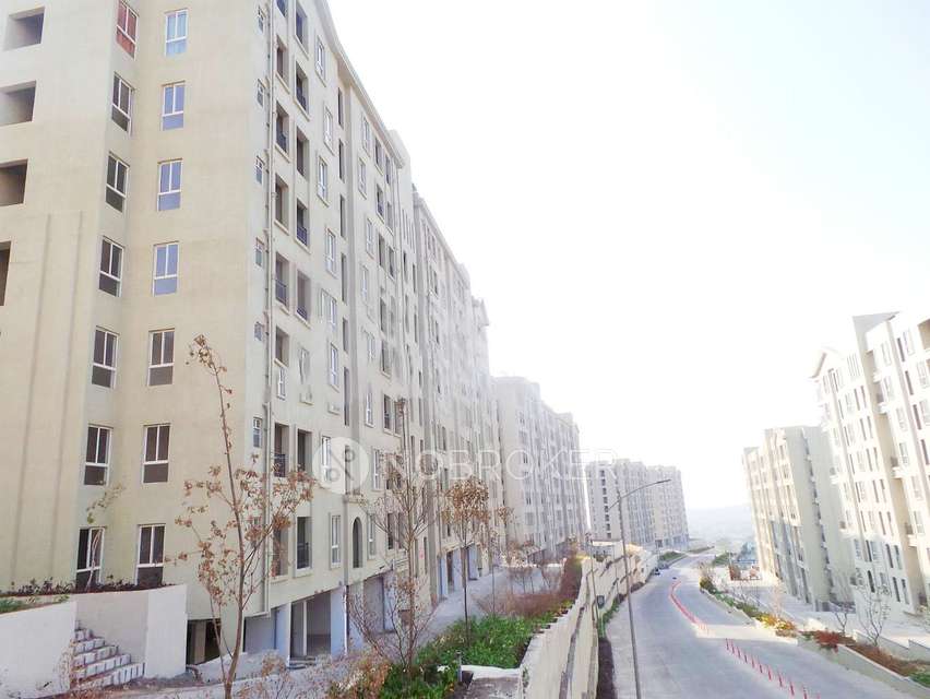 2 BHK Flat In Xrbia Hinjawadi for Rent  In Hinjawadi,nerhe