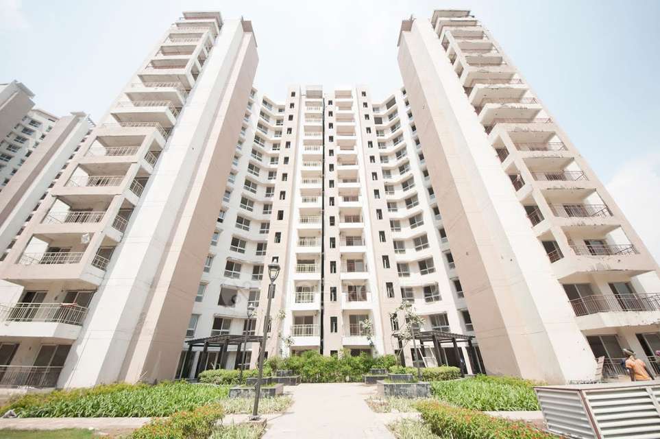 3 BHK Flat In Mapsko Royale Ville for Rent  In Sector-82