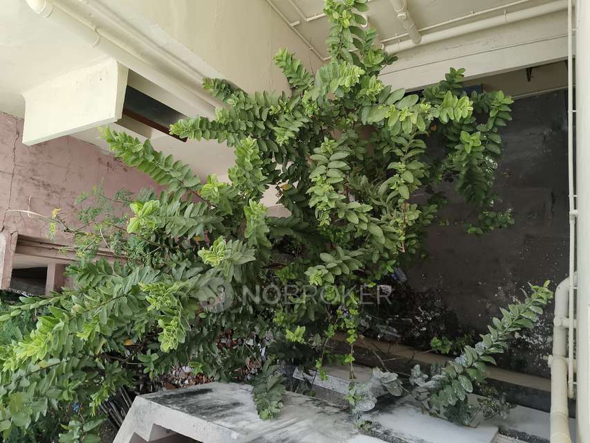 3 BHK House For Sale  In Velachery