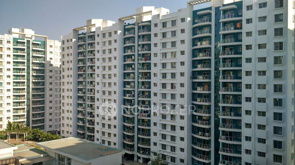 Single Room for Male In 3 BHK  In Megapolis Splendour In Hinjawadi