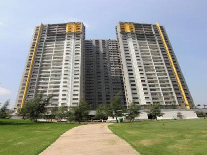 Blue Ridge Paranjpe Schemes Hinjawadi Rent WITHOUT BROKERAGE Semi