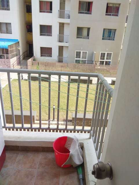 1 BHK Flat In Blue Ridge - Paranjpe Schemes for Rent  In Hinjawadi