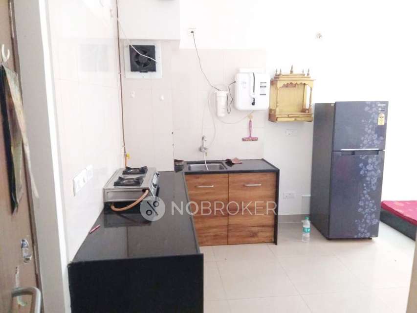 1 BHK Flat In Blue Ridge - Paranjpe Schemes for Rent  In Hinjawadi